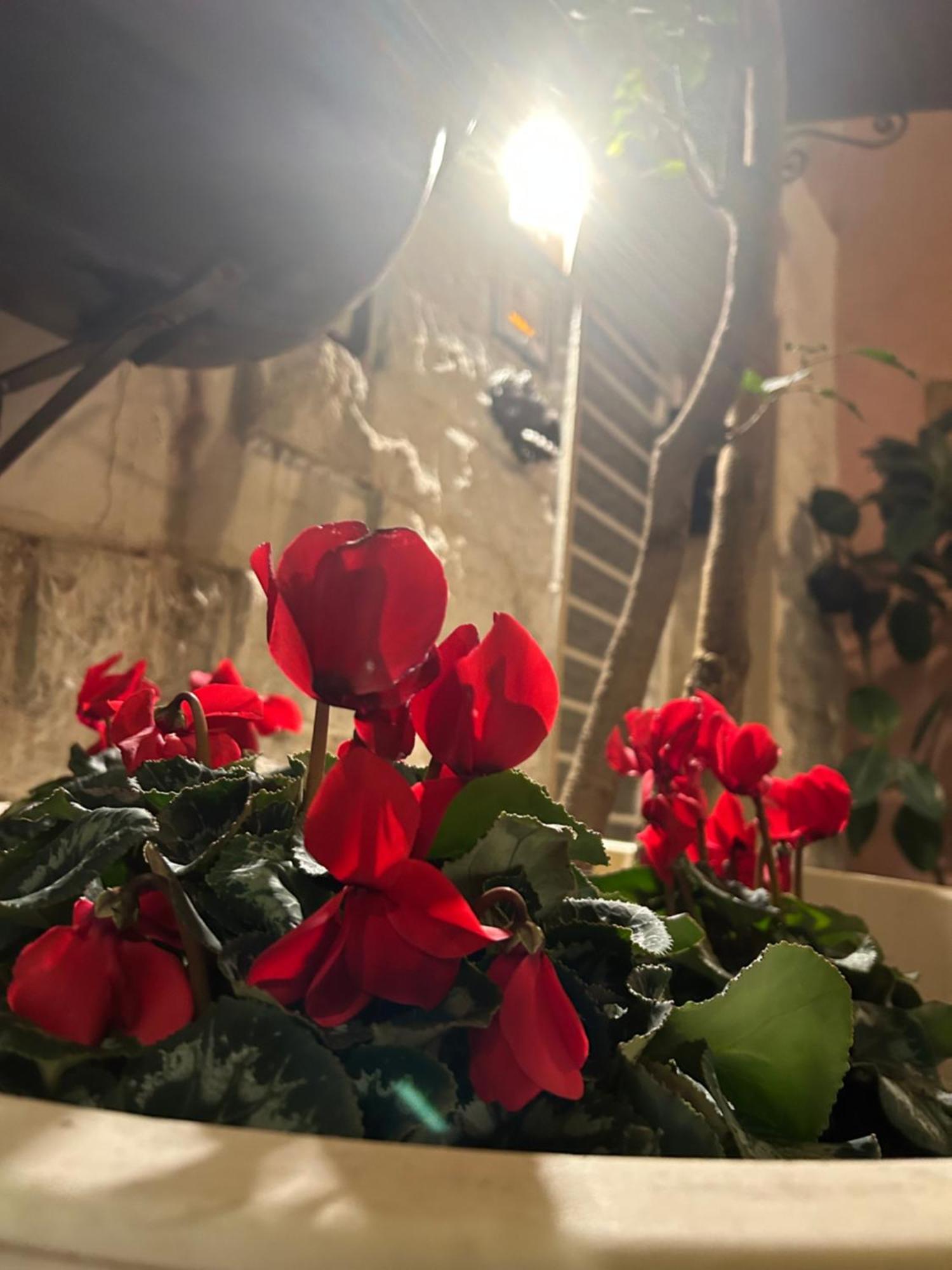 B&B Bari Vecchia R ภายนอก รูปภาพ